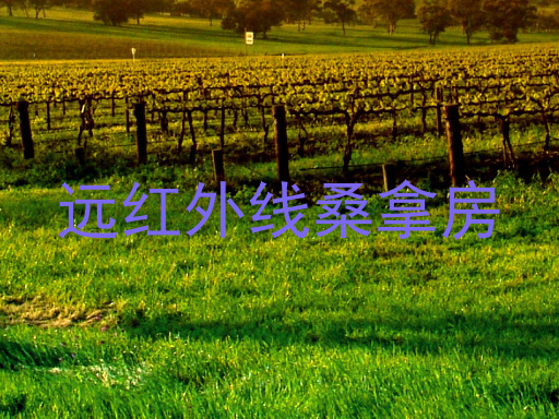 远红外线桑拿房