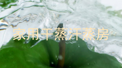 家用干蒸汗蒸房