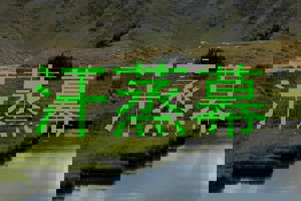 汗蒸幕