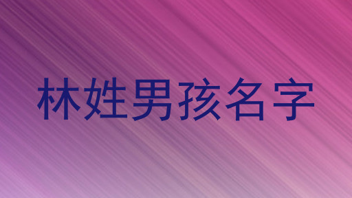 林姓男孩名字