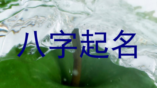 八字起名