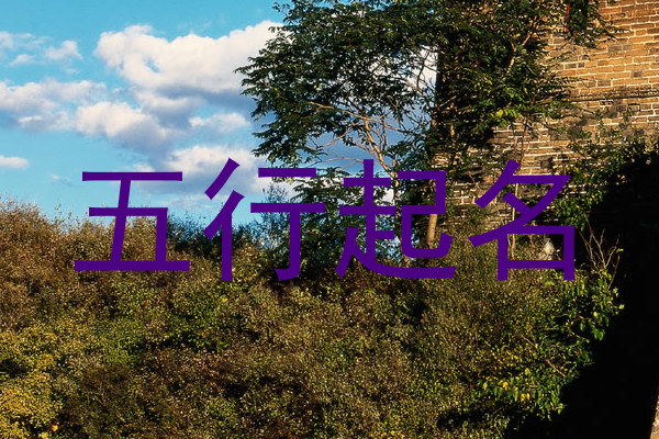 五行起名