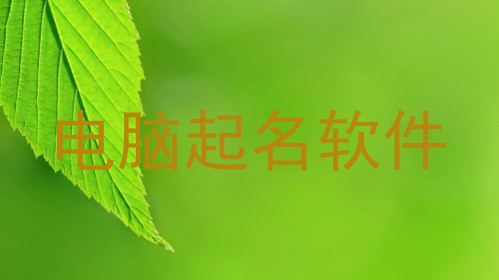 电脑起名软件