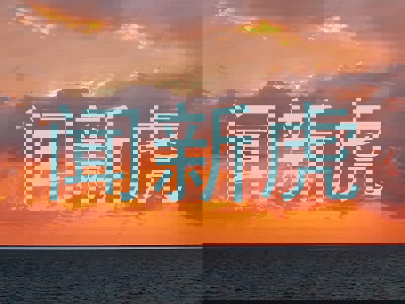 闻新虎