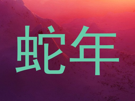 蛇年