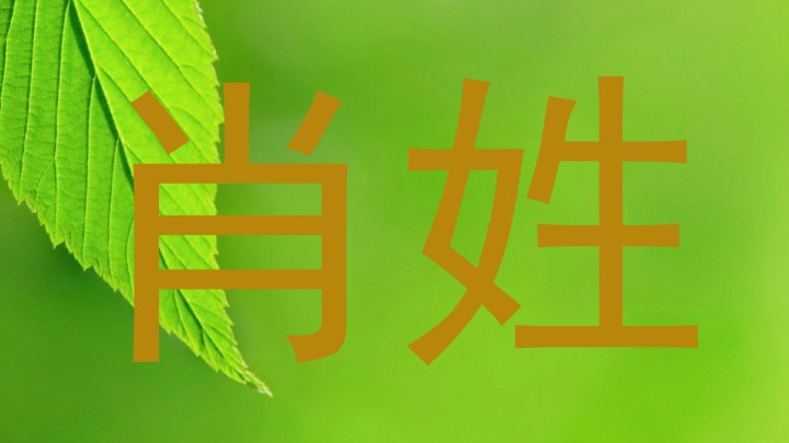 肖姓