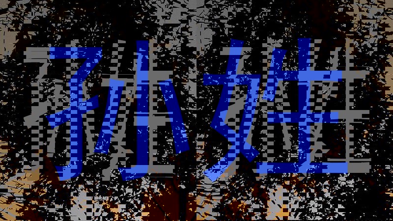 孙姓