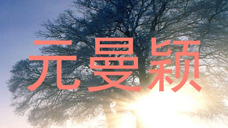 元曼颖