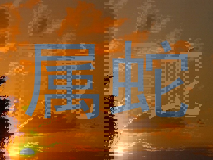 属蛇