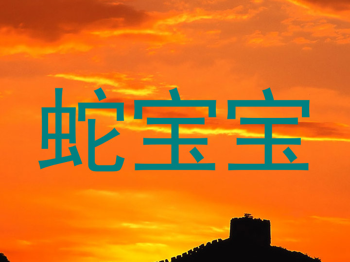 蛇宝宝
