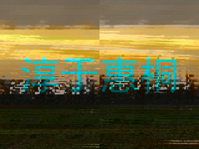 淳于惠桐