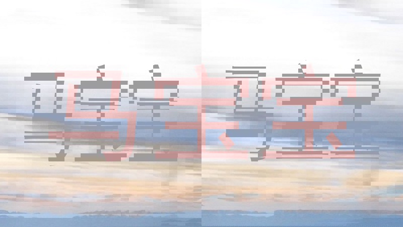 马宝宝