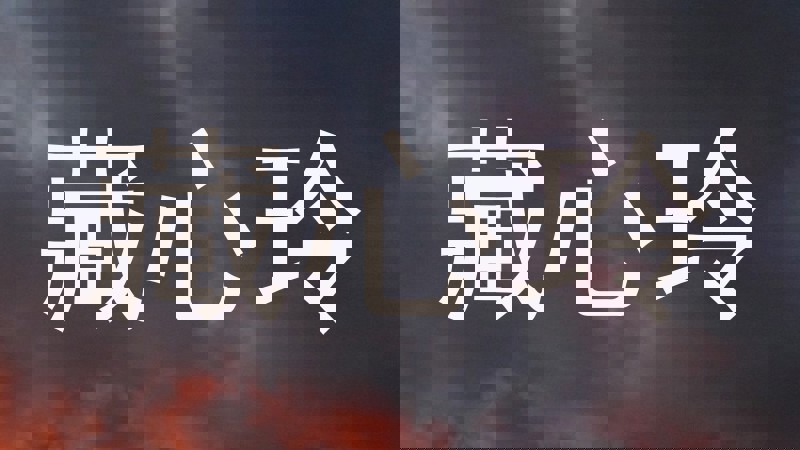 藏心玲