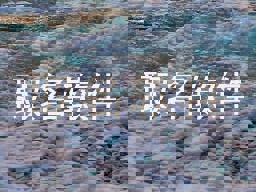 取名软件