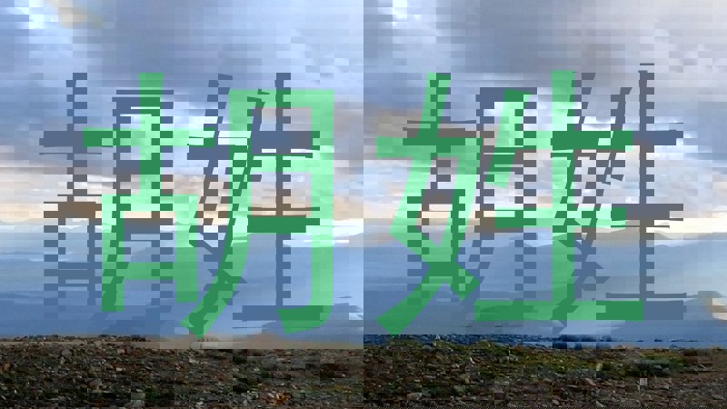 胡姓