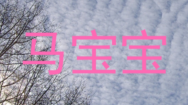 马宝宝