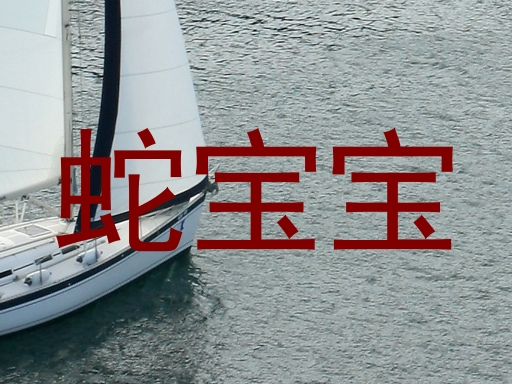 蛇宝宝