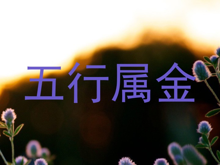 五行属金