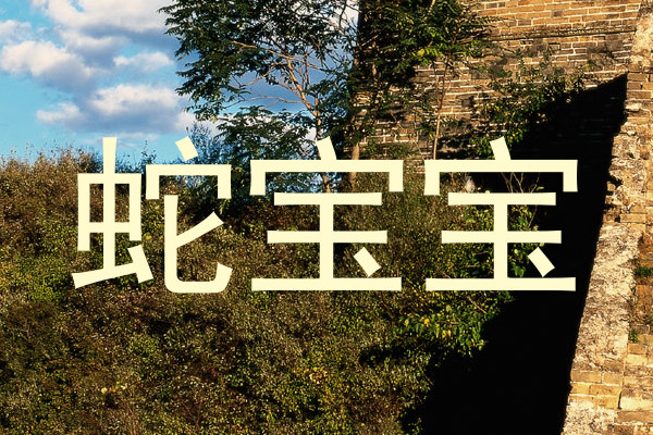 蛇宝宝