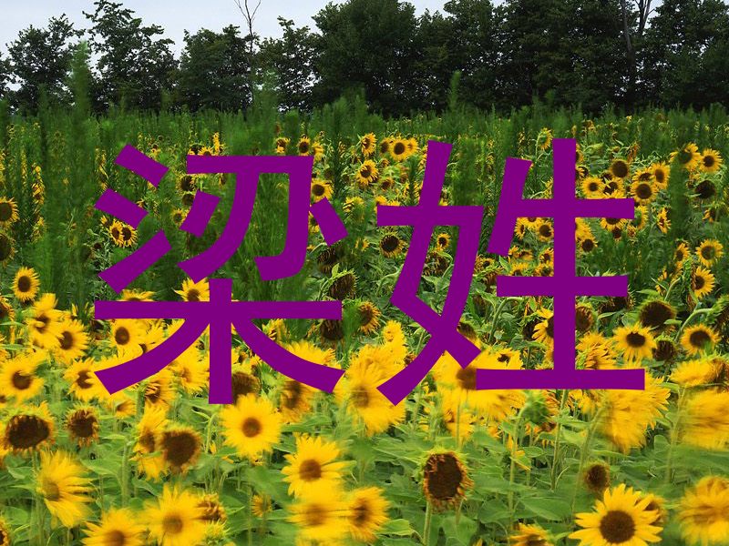 梁姓