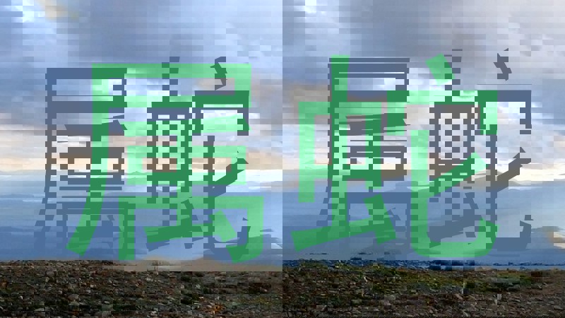 属蛇