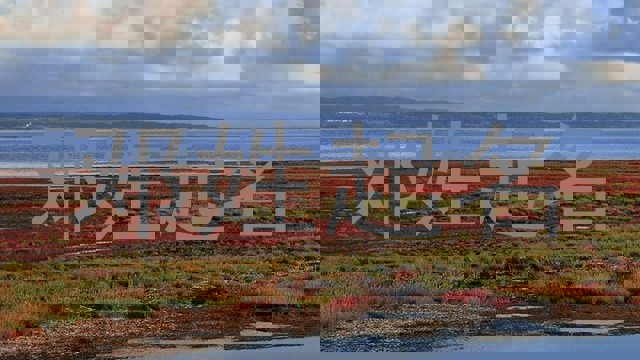 邓姓起名