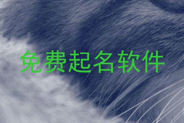 免费起名软件