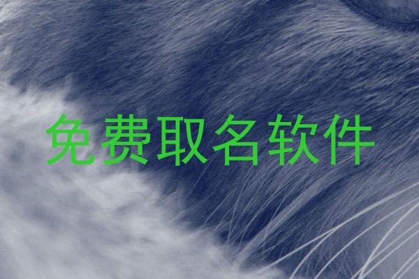 免费取名软件