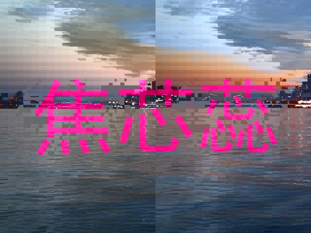 焦芯蕊
