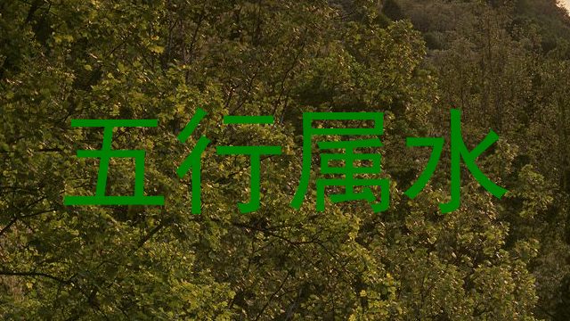 五行属水