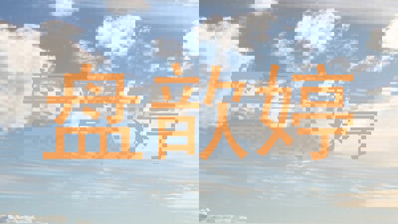 盘歆婷