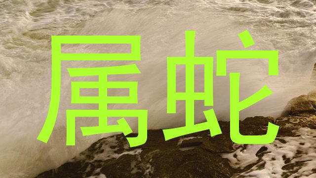 属蛇