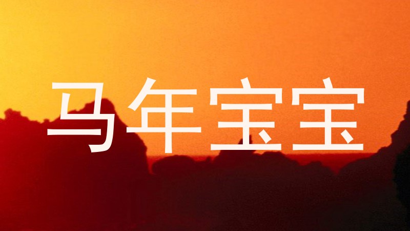 马年宝宝