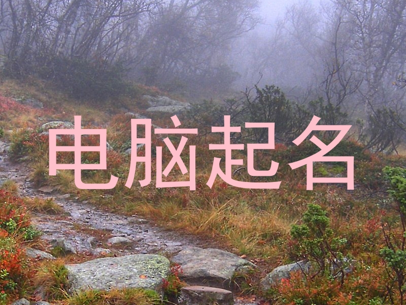 电脑起名