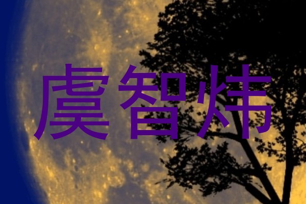 虞智炜
