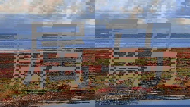 属马