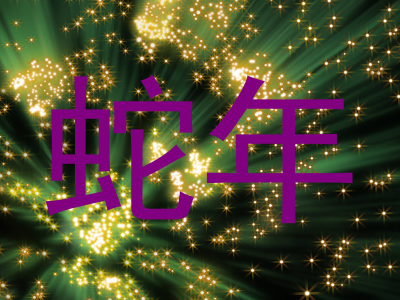 蛇年