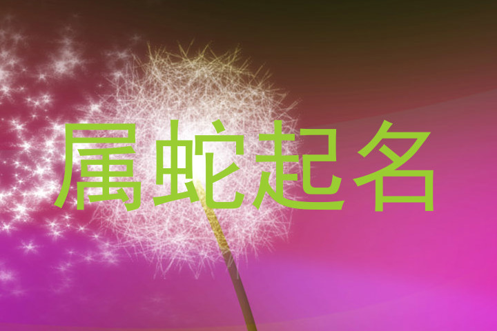 属蛇起名