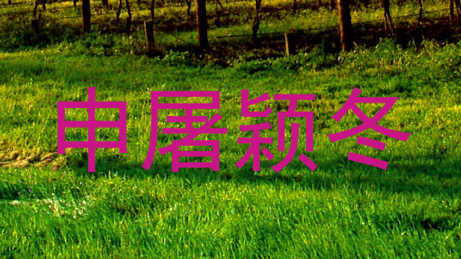 申屠颖冬