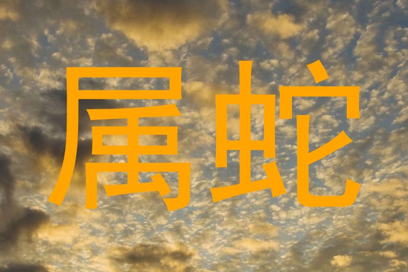 属蛇