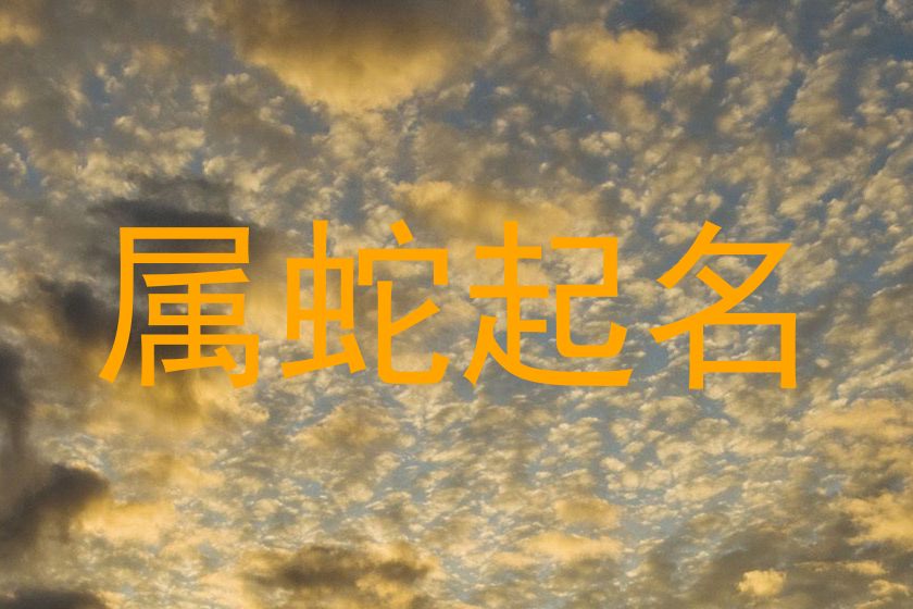 属蛇起名