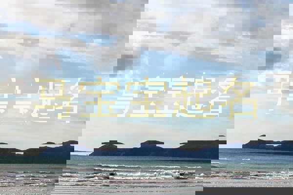 马宝宝起名