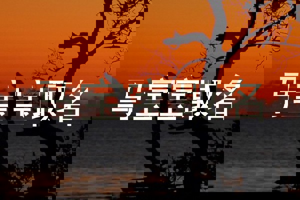 马宝宝取名