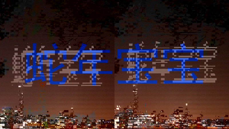 蛇年宝宝