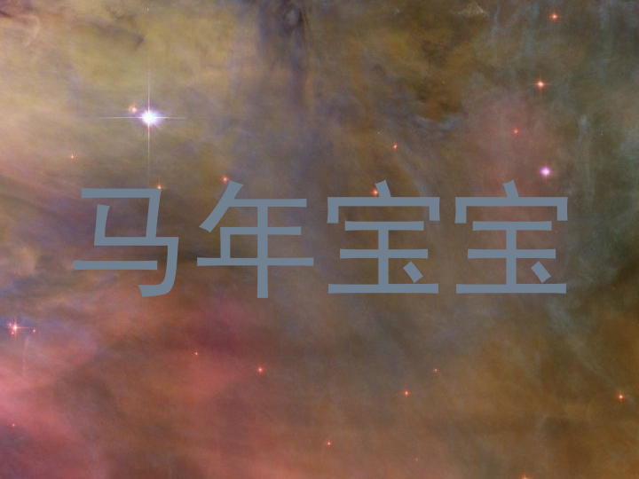 马年宝宝