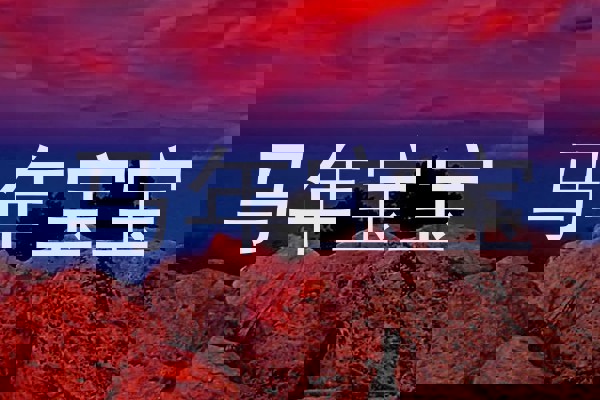 马年宝宝