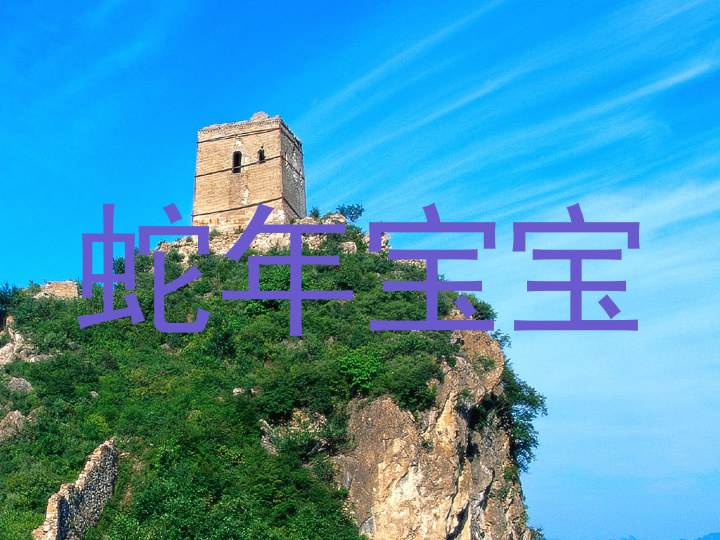 蛇年宝宝
