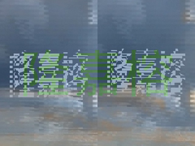 隆嘉榕