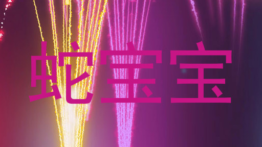 蛇宝宝