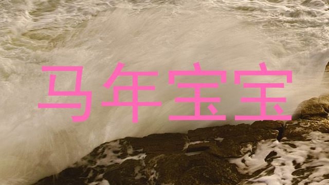 马年宝宝